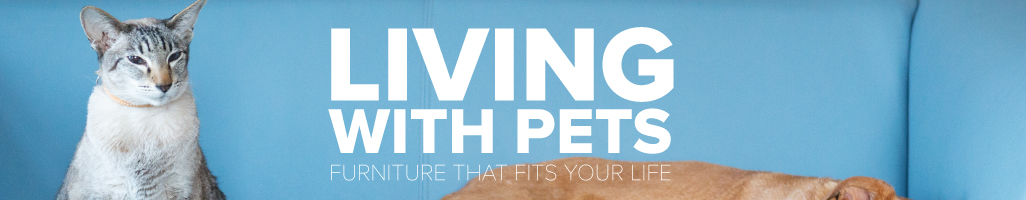 Living with Pets: Furniture that Fits Your Life